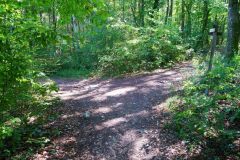 DSC_0200_web