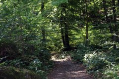 IMG_8972